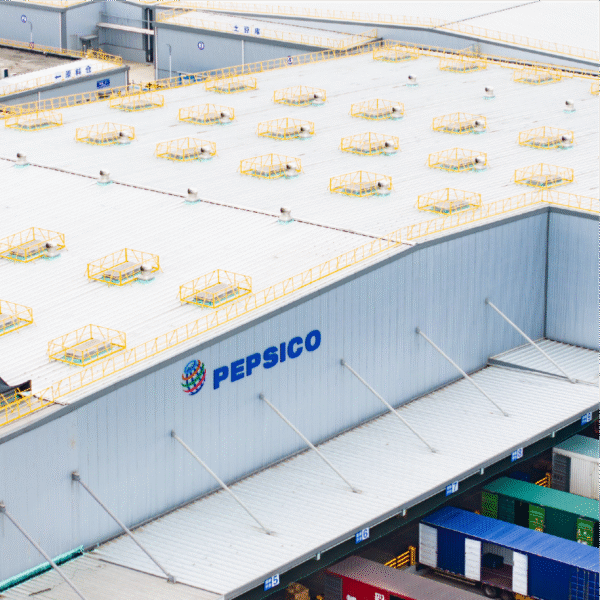 SR6® ROOF PANEL - Image 2